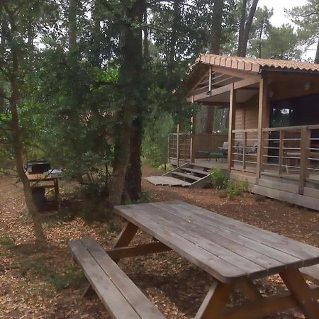 Chalet La Lande Ondres Dış mekan fotoğraf